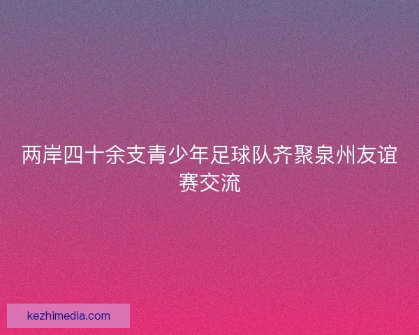两岸四十余支青少年足球队齐聚泉州友谊赛交流